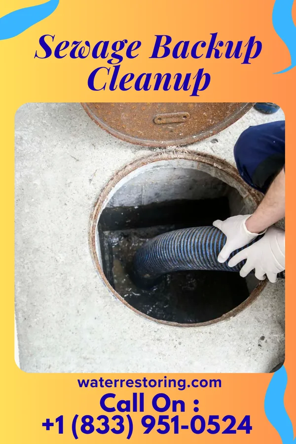 Sewage Backup Cleanup in New Lisbon, WI