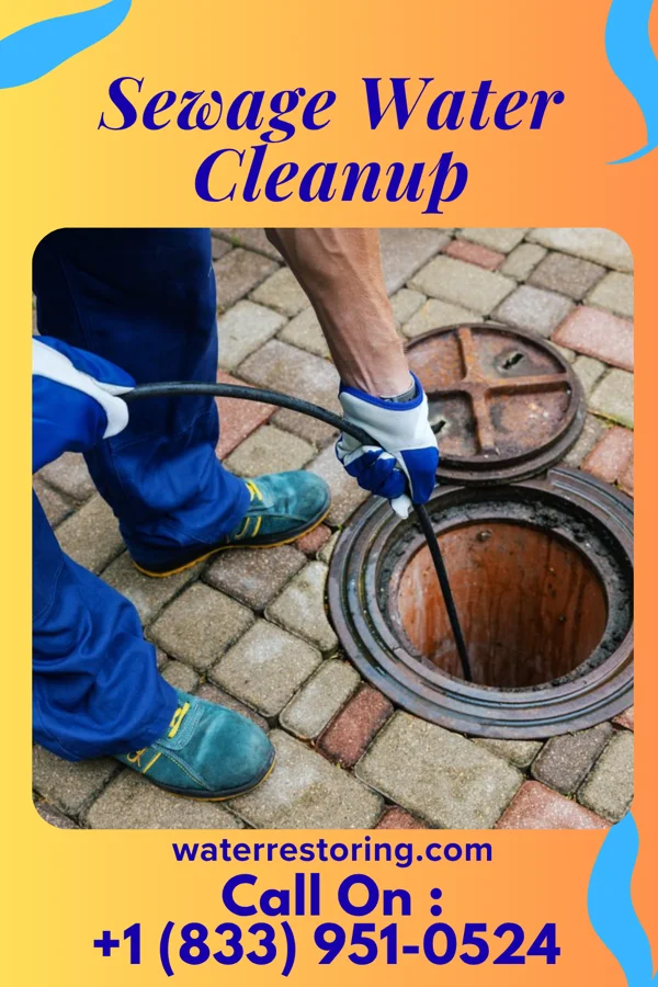 Sewage Water Cleanup in New Lisbon, WI