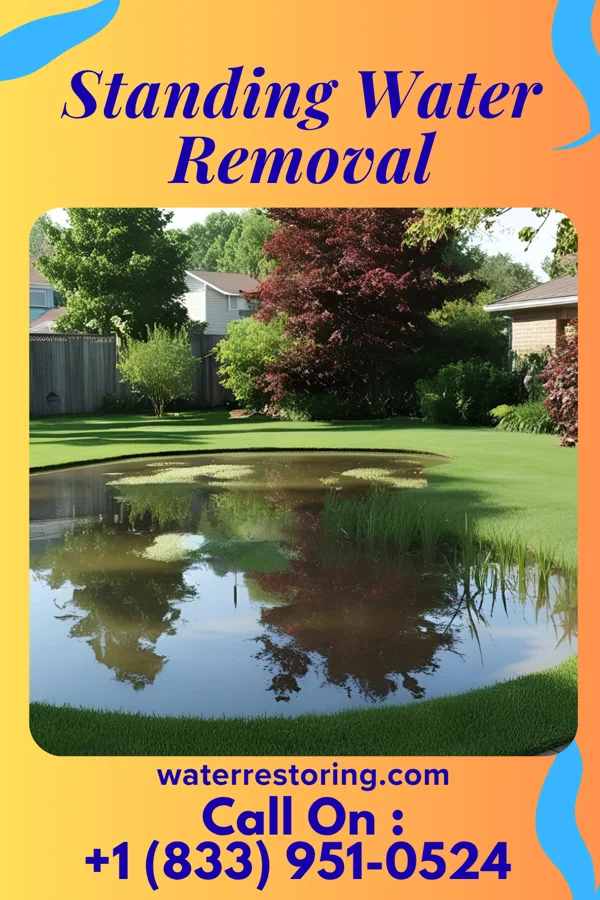Standing Water Removal in New Lisbon, WI